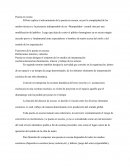 Puesta en escena resumen