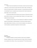 Anatomia del desastre