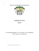 INVESTIGACIÓN CIENTÍFICA. TERMOELECTRICA