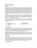 Ensayo nosotros los pobres