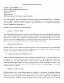 INFORME DIAGNOSTICO INDIVIDUAL