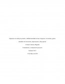 Impuesto a la renta por periodo y utilidad calculada en base a Ingresos, inversiones, gastos, calendario de inversiones, depreciación y flujo parcial.