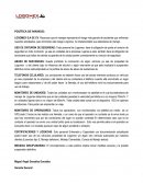 POLITICA DE MANEJO EN EMPRESA DE TRANSPORTES