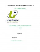 Resumen tecnología ambiental INFORME