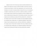 Perro bravo (chihuahua)