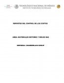 REPORTES DEL CONTROL DE LOS COSTOS