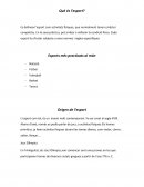 Qué és l’esport?