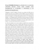 ENSAYO UNIFORME ESCOLAR