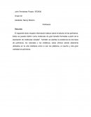 Reporte Polímeros