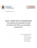 PADEC: SUBSECTOR DE SUPERMERCADOS “Las empresas de las grandes familias económicas de Chile y sus principales productores”