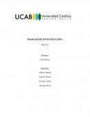 Beco (estudio del trabajo)