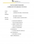 AUDITORIA FINANCIERA - MUNICIPALIDAD DISTRITAL