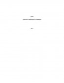 Tesina Auditoria a Soluciones y Empaque S.A