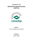 REPORTE DE PRACTICAS DEL HOSPITAL