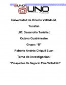 Prospectos De Negocio Para Valladolid investigación