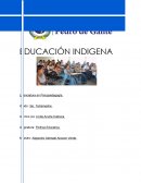 EDUCACIÓN INDIGENA