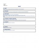 Formato brief