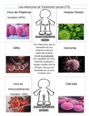 Las infecciones de Transmisión sexual (ITS)