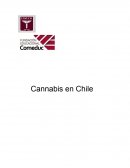 Resumen Cannabis en Chile
