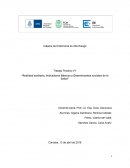 Realidad sanitaria, Indicadores Básicos y Determinantes sociales de la Salud