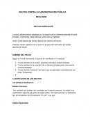 Delitos contra la administracion publica