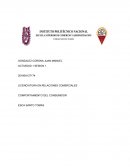 COMPORTAMIENTO DEL CONSUMIDOR ACTIVIDAD