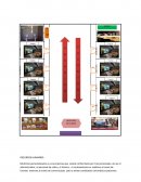 IMPACTO SOCIAL Y AMBIENTAL