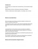 Efectos de actividad física