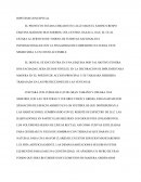 ARQUITECTURA HIPÓTESIS CONCEPTUAL