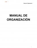 Manual de Organiacion Accion Civica