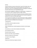 RE: Presentación del tutor