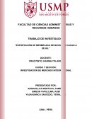 EXPORTACIÓN DE MERMELADA DE MUCÍLAGO CACAO A EE.UU.