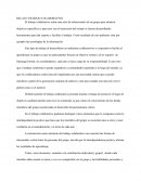 RELATO TRABAJO COLABORATIVO