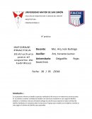 Estructura tipo estrella para ladrillos gambote