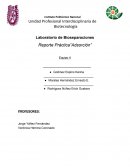 Laboratorio de Bioseparaciones Reporte Práctica”Adsorción”