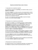 Desarrollo de Actividad Práctica