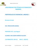 Bienestar Animal.Trabajo