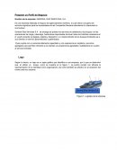 GENERAL SHIP SERVICIES, S.A Negocios