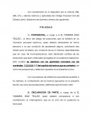 Fundamentacion para pruebas