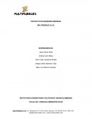 PROYECTO DE INVERSION EMPRESA