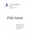 Elaboracion de un jabon artesanal