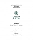 INFORME DE SINTESIS DEL ACTO DE COMERCIO