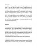 Tipos de globalización