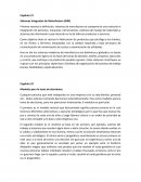 Sistemas Integrados de Manufactura (SIM)