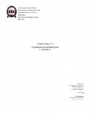 Informe de los componentes químicos de la célula