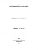 Cuadro comparativo “medios y modos de transporte”