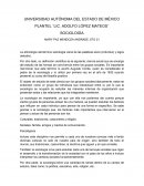 La etimología del término sociología viene de las palabras socio (individuo) y logos (estudio).