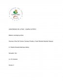 Biografía y la contribución al Derecho de los siguientes autores: Jürgen Habermas, Niklas Luhmann, Immanuel Nellerstein y Anthony Giddens.