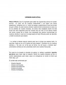 OPINION EJECUTIVA.