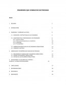 POLIMEROS QUE CONDUCEN ELECTRICIDAD